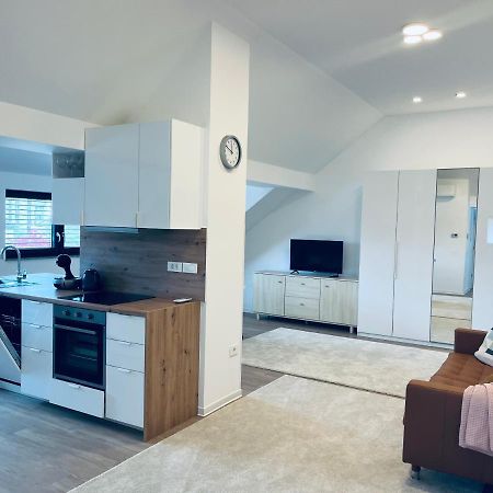 Villa Kovaceva 15, App 2, Free Parking ลูบลิยานา ภายนอก รูปภาพ